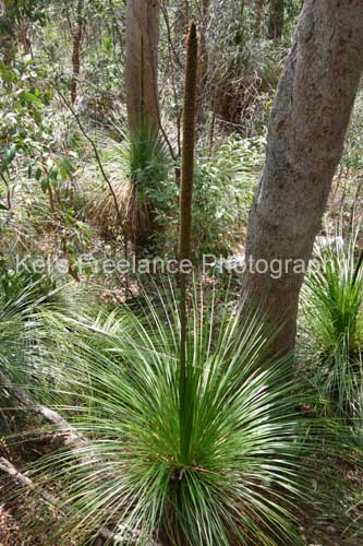 land_flo13